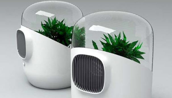 Air Purification Systems