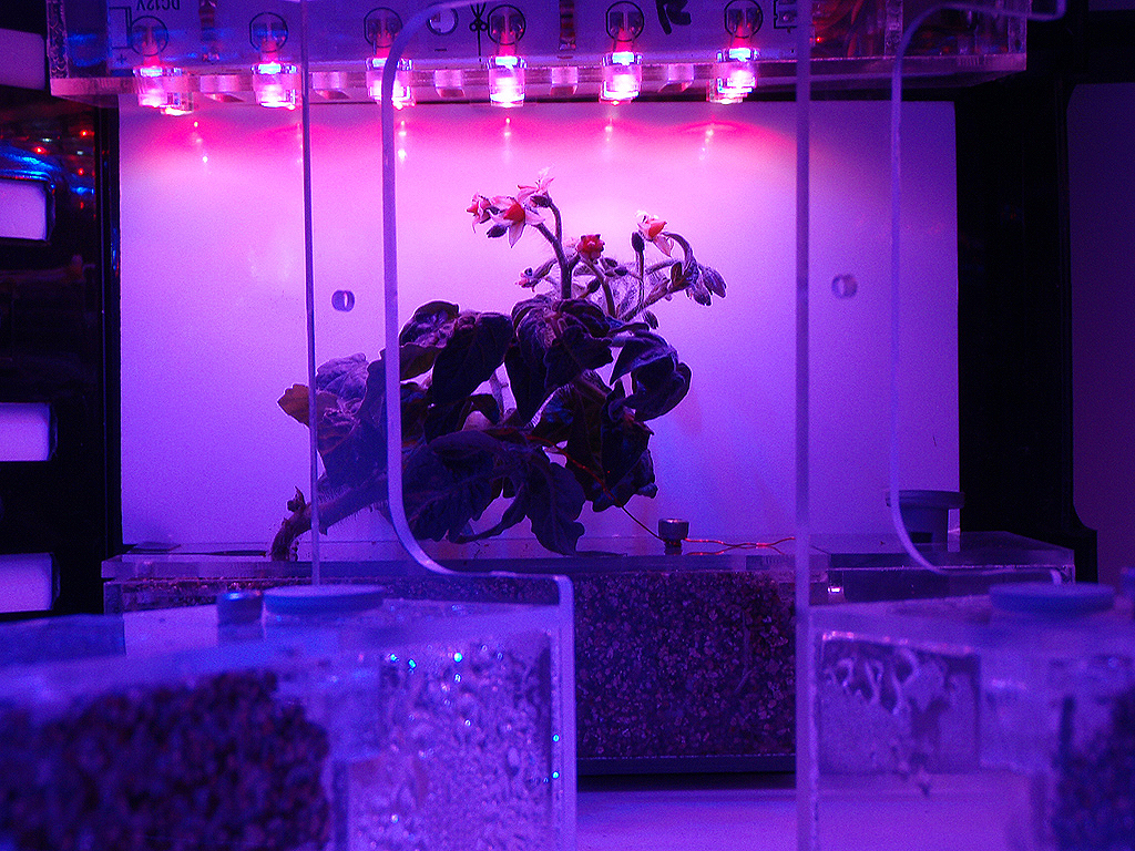 Hydroponic Grow Box