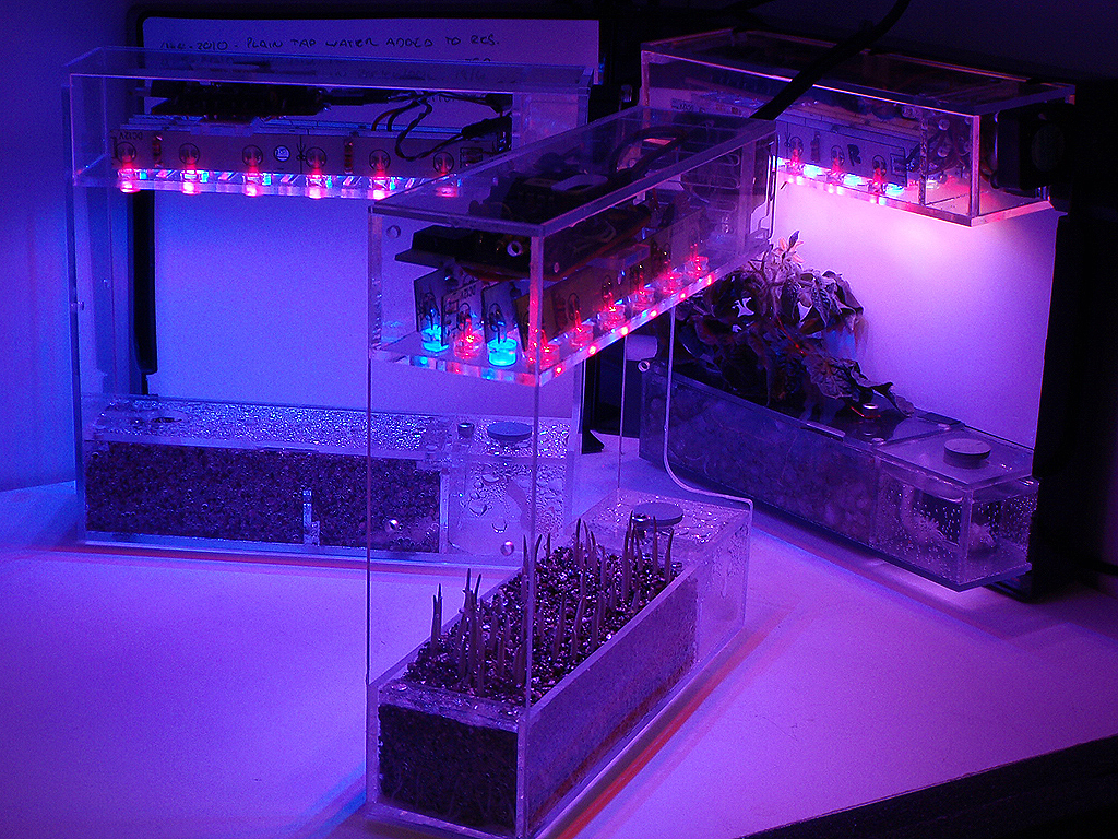 Hydroponic Grow Box