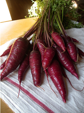 Improve Environmental health with Purple Carrot in your Garden