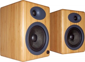 Bamboo Audioengine A5N iPod Speaker System