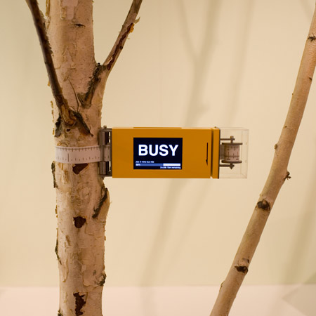 Gadget for Carbon Offset Renting from Trees