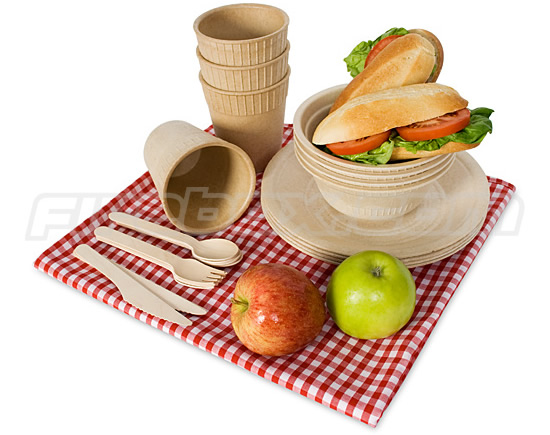 BioDegradeable Picnic Plates and Utensils