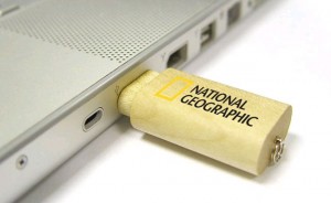 Brandable Carbon Neutral Flash Drives