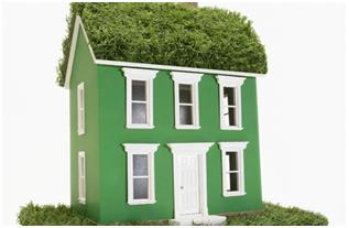 Eco-housing- The demand of the day