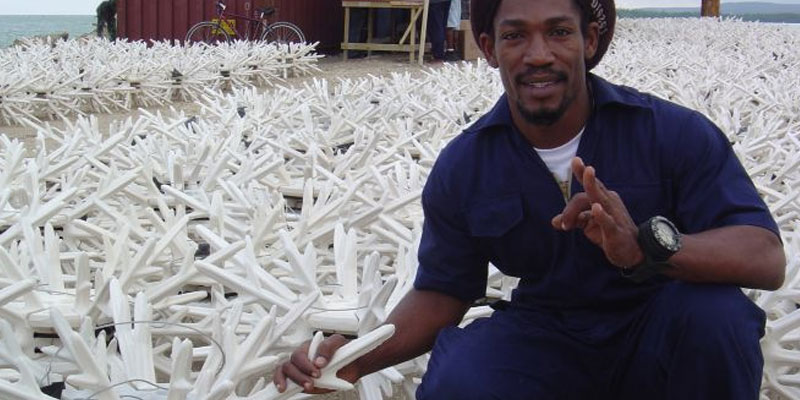 EcoReef Antlers for Coral Reef Restoration