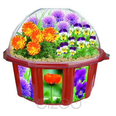 Grow Your Own Edible Flowers