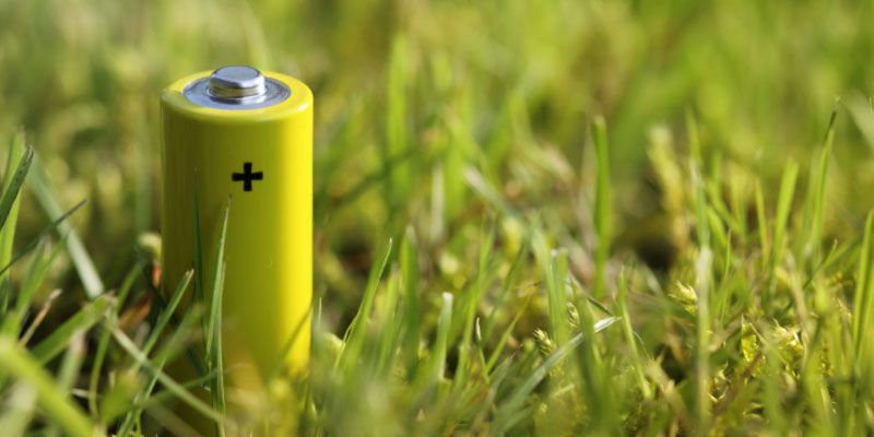 Green Battery Powered from By a Plant Extract