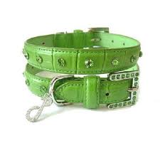 Green Dog Collars