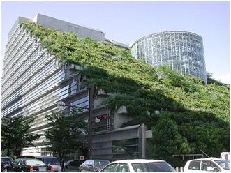 Green roofing specification and standards