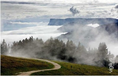 The Vigilius Mountain Resort, A Cathedral of Relaxation