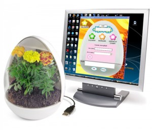 USB Greenhouse – The Ultimate Office Plant