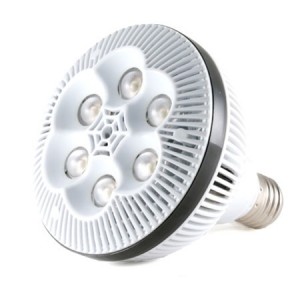 Eterna LEDs Quanta 18W Light Bulb