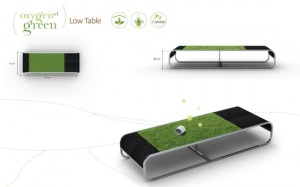 Oxygen of Green - Table Dimensions