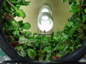 Volksgarden Circular Hydroponics