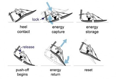 Kinetic Energy Recycling Artificial Foot