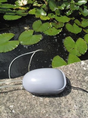 Solar Powered Pond Oxygenator