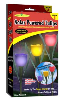 Solar Powered Tulips