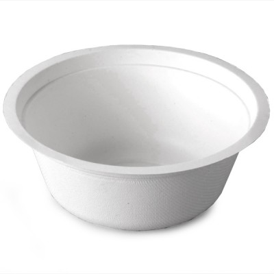 Biopac Sugarcane Disposable Bowls