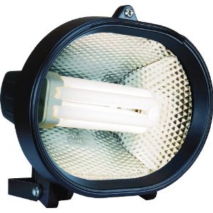 Byron Elro HL24 Energy Saving Compact Fluorescent Floodlight