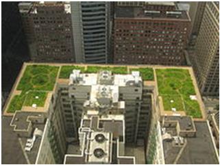 Green roofing