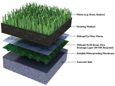 History of green roofs