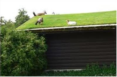 Green roof system