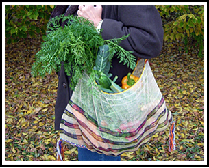 Nature Bag from JungleVine Cord